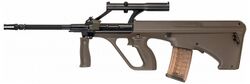 Green aug.jpg