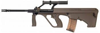 Green aug.jpg