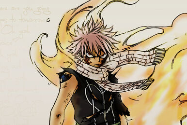 Taka | One Piece Wiki | Fandom