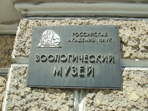 ZIN St Petersburg plate from Trip Advisor.com [1].