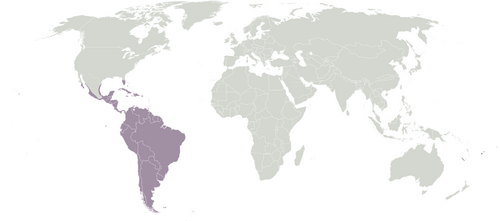 940px-Ecozone Neotropic