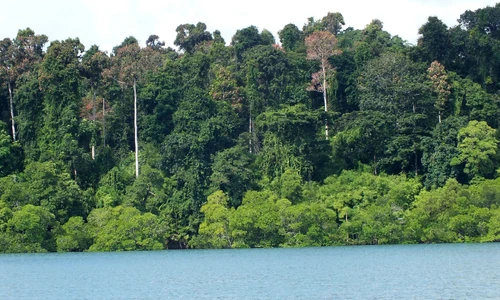 IM0101 Andaman, panoramio-62849931