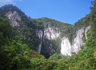 Limestone dipterocarp lowland rainforest, Deer Cave, Mulu National Park, Sarawak, Borneo. @ C