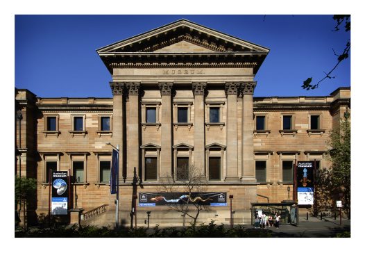 Australian Museum | Opiliones Wiki |