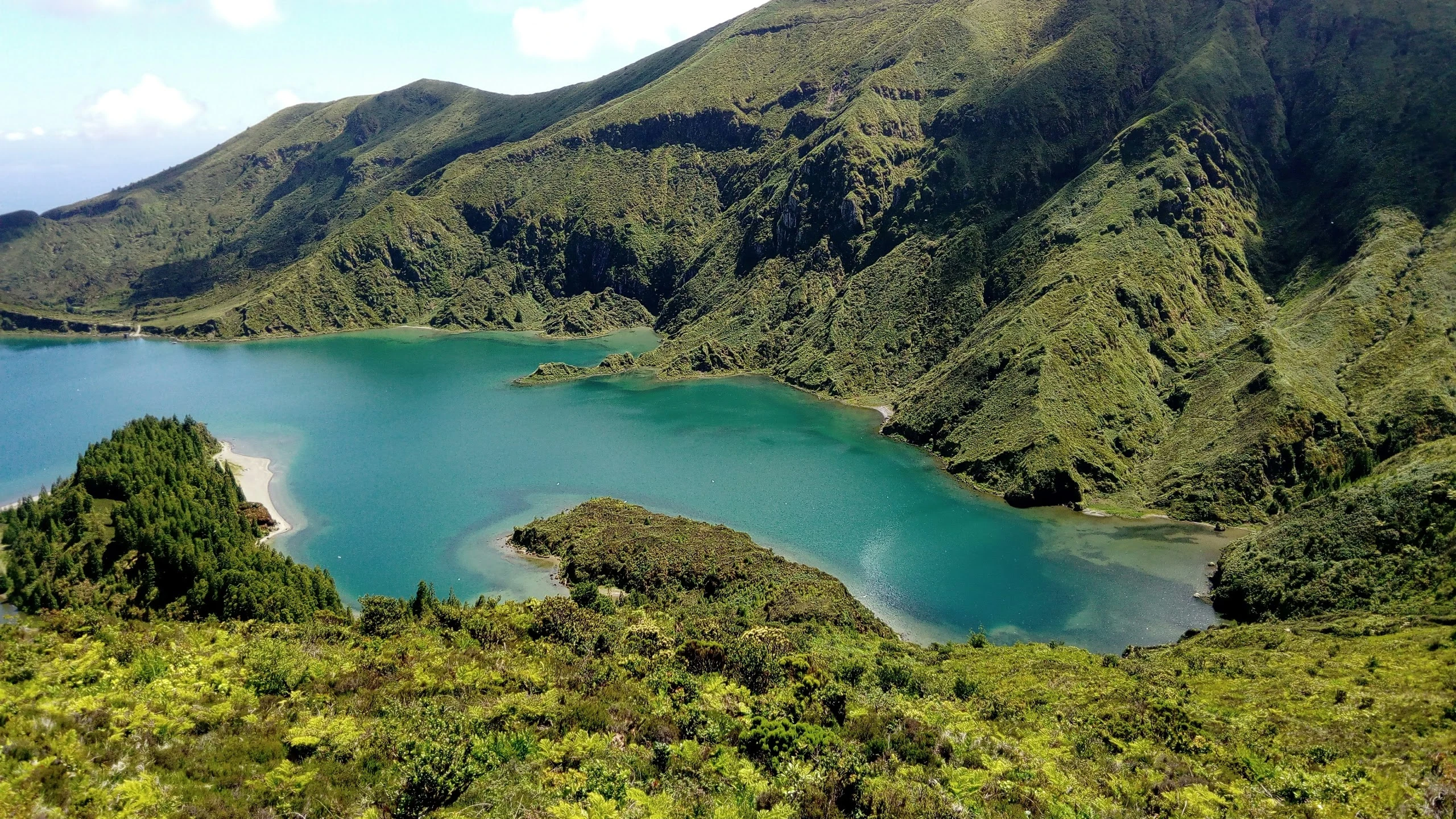 azores temperate mixed forests pa0403