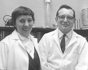 from OmniPaper Project