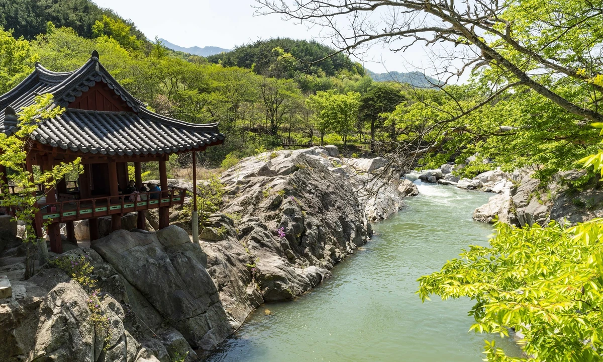 Central Korean deciduous forests (PA0413) Opiliones Wiki Fandom