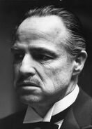 Don Vito Corleone.