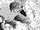 Lion King Fist
