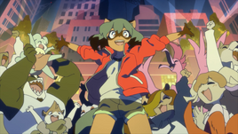 MinkRace