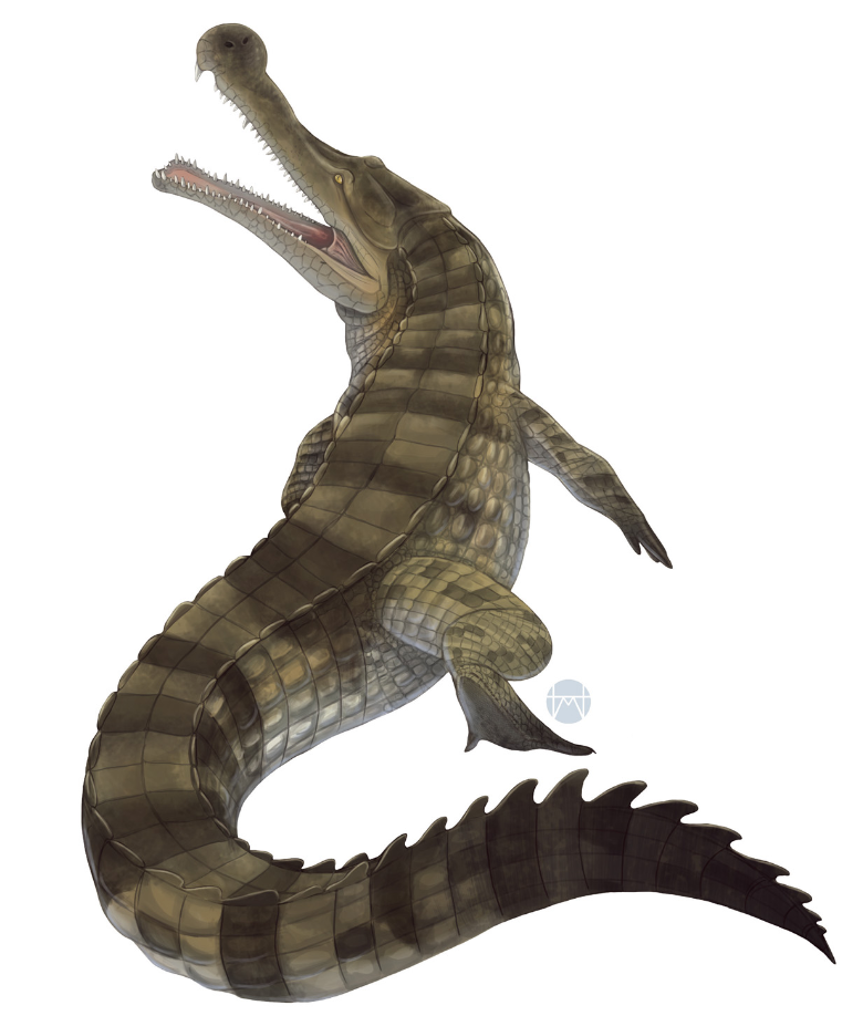 Wani Wani no Mi: Model: Sarcosuchus (Ancient Zoan Devil fruit that