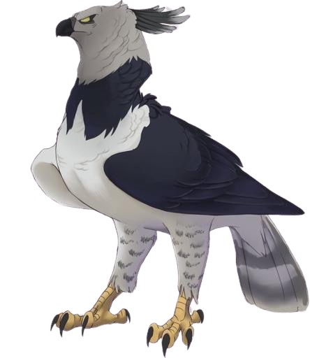 Tori Tori no Mi, Model: Harpy Eagle