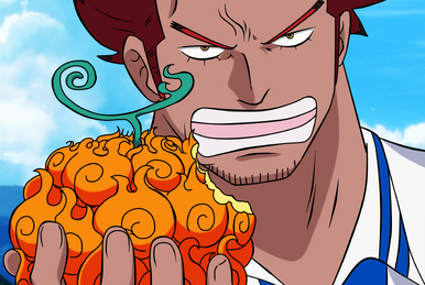 Mera Mera no Mi flame Fruit - Container-ONE PIECE-ワンピース-海贼王-航海王-Anime  Series-Fan Art