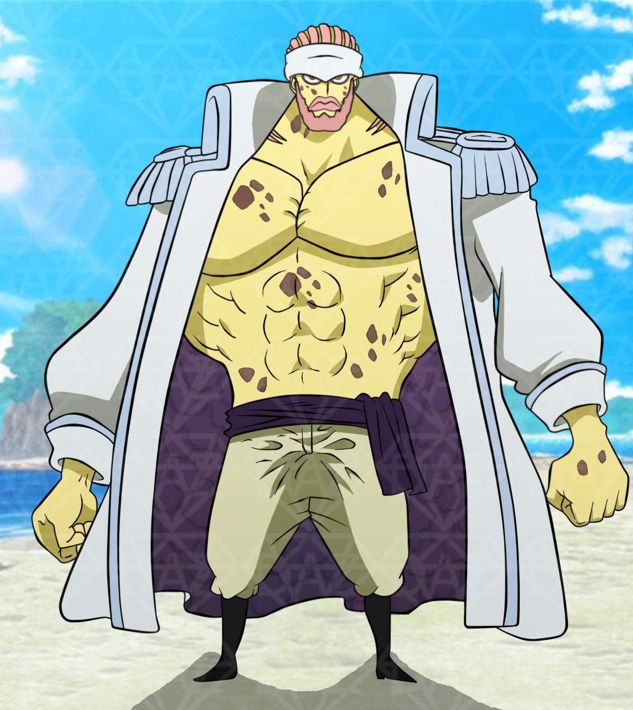 Pirate, One Piece Role-Play Wiki