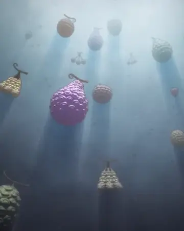 Devil Fruit One Piece Role Play Wiki Fandom