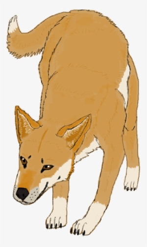 Illustration du dessin animé de couleur animale Dingo Image Vectorielle  Stock - Alamy