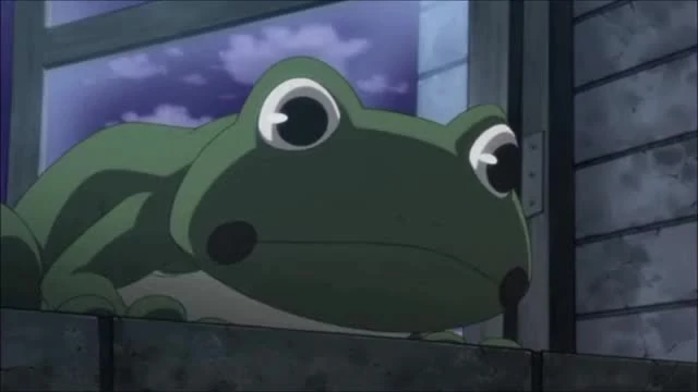 Ribbit | One Piece Role-Play Wiki | Fandom