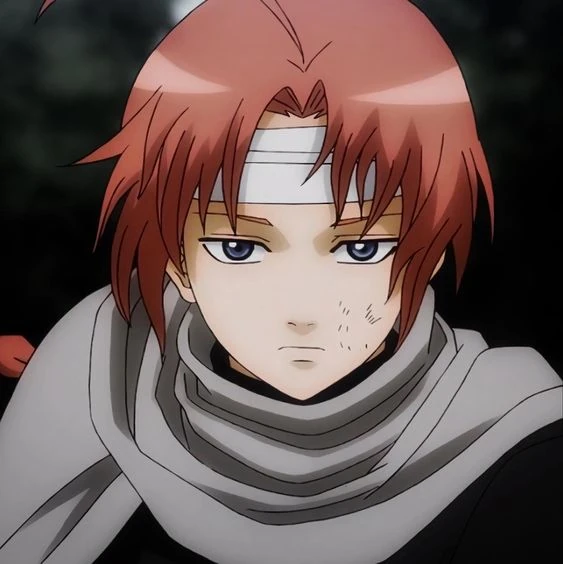 Seizan One Piece RolePlay Wiki Fandom