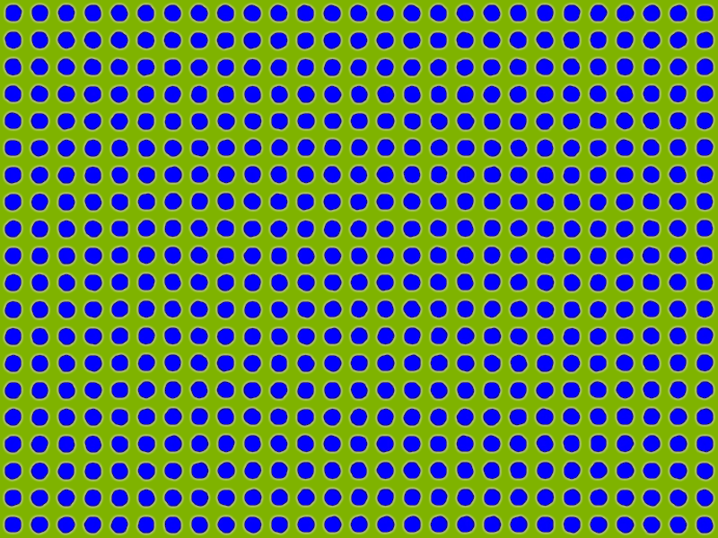 Motion Illusion | Optical Illusions Wiki | Fandom
