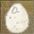 Pet Chicken Egg icon