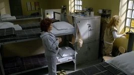 Conejito, calavera, conejito, calavera