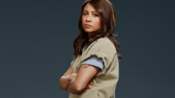 Aleida Diaz | Orange Is the New Black Wiki | Fandom