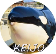 KEIJO.jpg