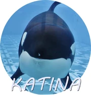 KATINA.jpg