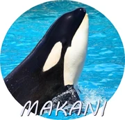 MAKANI.jpg
