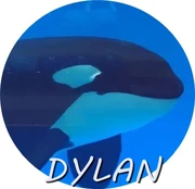 DYLAN.jpg