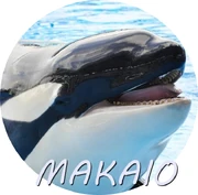 MAKAIO2.jpg