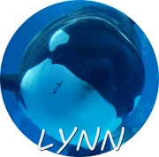 LYNN.jpg