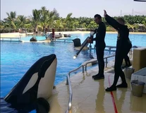 Screenshot 2021-06-14 at 17-01-53 Morgan 78676 webp (Imagen WEBP, 501 × 387 píxeles)