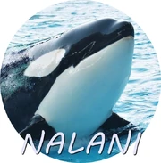 NALANI.jpg