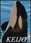 Keijo-profile