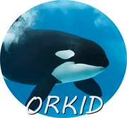 ORKID.png