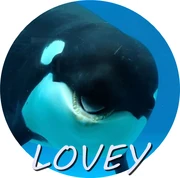 LOVEY.png