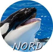 NORD.png