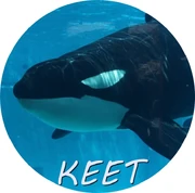 KEET.jpg