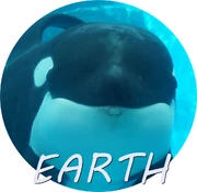 EARTH.jpg