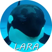 LARA.png