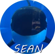 SEAN.jpg