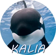 KALIA.png