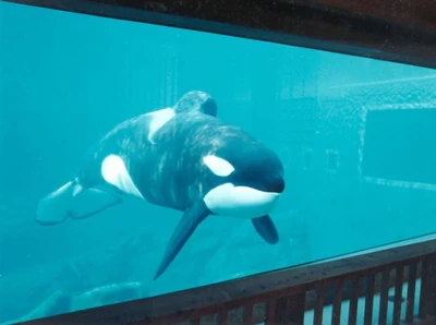 Credit: Mountain States Construction