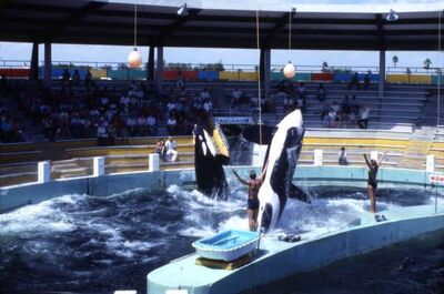 Lolita and hugo state of florida archives 0586