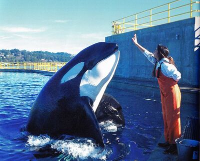 Keiko 589404.jpg