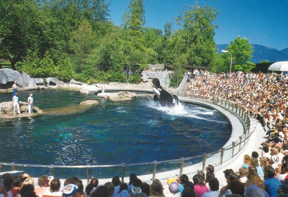 Category Vancouver Aquarium S History Orca Pod Wiki Fandom