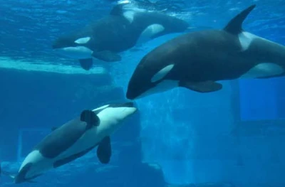 Lynn, Ran and Stella