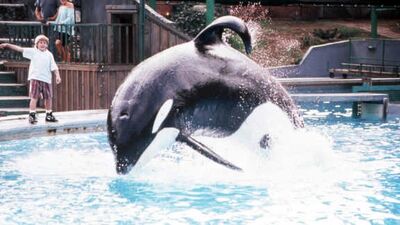 Keiko 85064.jpg