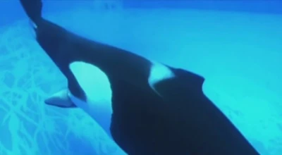 Stella giving birth to Lynn.